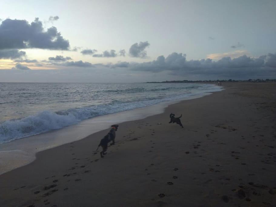 Precioso Apartamento A 50 Metros De La Playa Rincón de la Victoria Εξωτερικό φωτογραφία